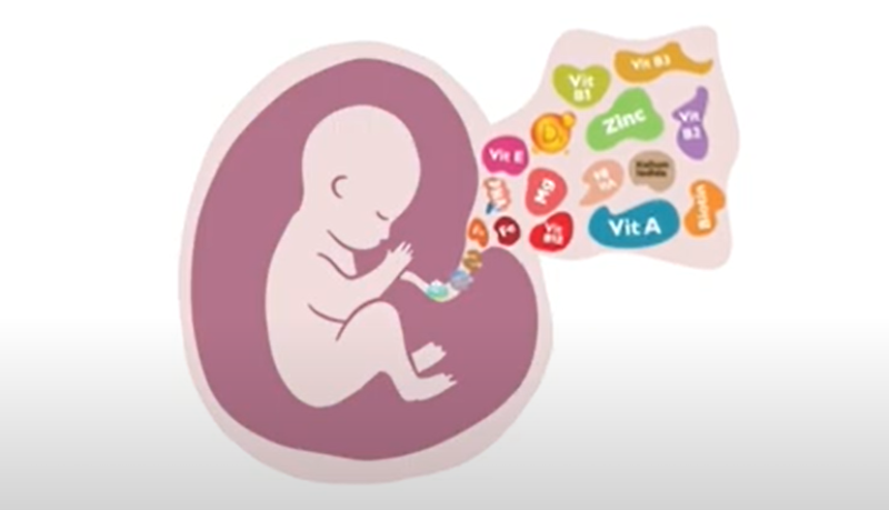 Webinar Promoting Cardiovascular and Bone Health During Pregnancy with Vitamin K